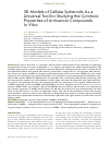 Научная статья на тему '3D MODELS OF CELLULAR SPHEROIDS AS A UNIVERSAL TOOL FOR STUDYING THE CYTOTOXIC PROPERTIES OF ANTICANCER COMPOUNDS IN VITRO'