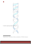 Научная статья на тему 'A new concept of archetype in the physics of self-organization'