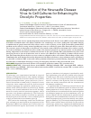 Научная статья на тему 'Adaptation of the Newcastle disease virus to cell cultures for enhancing its oncolytic properties'