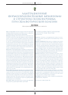 Научная статья на тему 'Адаптационные формообразовательные механизмы в структурах позвоночника при сколиотической болезни'