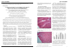 Научная статья на тему 'Анализ гистологического строения некоторых органов пищеварительного тракта каспийского тюленя (Phoca caspica Gmelin, 1788) в плодный период'
