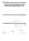 Научная статья на тему 'Anatomical and histological alterations induced by Hemicycliophora poranga Monteiro & Lordello, 1978 in celery (Apium graveolens L.) roots'