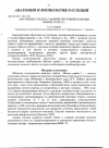 Научная статья на тему 'Анатомия стебля и главной листовой подушки Mimosa pudica L'