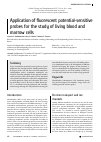 Научная статья на тему 'APPLICATION OF FLUORESCENT POTENTIAL-SENSITIVE PROBES FOR THE STUDY OF LIVING BLOOD AND MARROW CELLS'