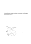 Научная статья на тему 'Application of geological methods for dating of stone labyrinths on the White sea coast'