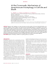 Научная статья на тему 'AT THE CROSSROADS: MECHANISMS OF APOPTOSIS AND AUTOPHAGY IN CELL LIFE AND DEATH'