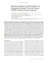 Научная статья на тему 'Bacterial synthesis and purification of normal and mutant forms of human FGFR3 transmembrane segment'