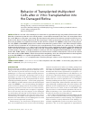 Научная статья на тему 'Behavior of transplanted multipotent cells after in vitro transplantation into the damaged retina'