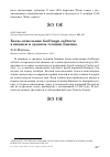 Научная статья на тему 'Бекас-отшельник Gallinago solitaria в нижнем и среднем течении Бикина'