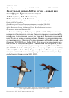 Научная статья на тему 'Белоглазый нырок Aythya nyroca – новый вид в авифауне Приморского края'