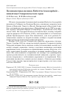 Научная статья на тему 'Белошапочная овсянка Emberiza leucocephala - новый вид Ставропольского края'