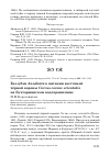 Научная статья на тему 'Беззубки Anodonta в питании восточной чёрной вороны Corvus corone orientalis на Бухтарминском водохранилище'