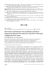 Научная статья на тему 'Болотная камышевка Acrocephalus palustris - новый вид фауны Российского Дальнего Востока и Приморского края'