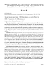 Научная статья на тему 'Болотные крачки chlidonias в дельте Волги'