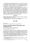 Научная статья на тему 'Большое скопление фламинго Phoenicopterus ruber в Каспийском море'