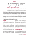 Научная статья на тему 'C2H2 zinc finger proteins: the largest but poorly explored family of higher eukaryotic transcription factors'