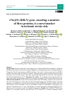 Научная статья на тему 'C9ORF16 (BBLN) GENE, ENCODING A MEMBER OF HERO PROTEINS, IS A NOVEL MARKER IN ISCHEMIC STROKE RISK'