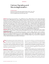 Научная статья на тему 'Calcium signaling and Neurodegeneration'