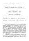 Научная статья на тему 'Carbon encapsulation of magnetic metal nanoparticles: correlation between nanoscale structure of carbon matrix and electromagnetic properties'