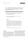 Научная статья на тему 'Cha 1, a DNA incertional transformant of the green alga Chlamydomonas reinhardtii with altered chemotaxis to ammonium'