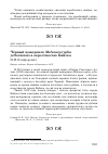Научная статья на тему 'Чёрный жаворонок Melanocorypha yeltoniensis в окрестностях Бийска'