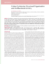 Научная статья на тему 'Cobra cytotoxins: structural organization and antibacterial activity'