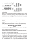 Научная статья на тему 'Comparative observation of early stage scapuloh-umeral periarthritis treated with kinetic acupuncture on distal points ofthe affected meridians'