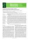 Научная статья на тему 'Comparison of selected characteristics of cultivars and wild-growing genotypes of Sambucus nigra in Slovakia'