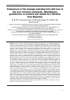 Научная статья на тему 'Comparison of the damage potential and yield loss of the rice root-knot nematode, Meloidogyne graminicola, on lowland and upland rice varieties from Myanmar'