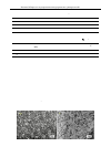 Научная статья на тему 'Corrosion behavior overview and analysis of clam steel vs. weldments in liquid lithium lead at 753k'