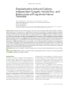 Научная статья на тему 'Depolarization-induced calcium-independent synaptic vesicle exoand endocytosis at frog motor nerve terminals'