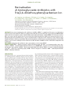 Научная статья на тему 'Derivatization of aminoglycoside antibiotics with tris(2,6-dimethoxyphenyl)carbenium ion'