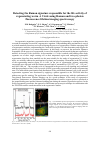 Научная статья на тему 'Detecting the Raman signature responsible for the life activity of regenerating worm A. Viride using Raman and two-photon fluorescence lifetime imaging spectroscopy'