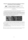 Научная статья на тему 'Diagnostics of bacteria using Fabry-Perot interference in silicon nanostructures of various morphologies'