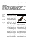 Научная статья на тему 'DISTRIBUTION, POPULATION STATUS, ECOLOGY, AND CONSERVATION OF EASTERN IMPERIAL EAGLE IN THRACE ECOREGION (BULGARIA AND TURKEY)'