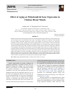 Научная статья на тему 'Effect of Aging on Mitochondrial Gene Expression in Chicken Breast Muscle'