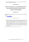 Научная статья на тему 'Effect of drought stress on some physiological traits of durum (Triticum durum Desf. ) and bread (Triticum aestivum L. ) wheat genotypes'