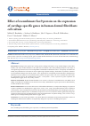 Научная статья на тему 'EFFECT OF RECOMBINANT SOX9 PROTEIN ON THE EXPRESSION OF CARTILAGE-SPECIFIC GENES IN HUMAN DERMAL FIBROBLASTS CELL CULTURE'