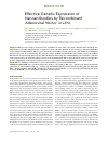 Научная статья на тему 'Effective genetic expression of nanoantibodies by recombinant adenoviral vector in vitro'