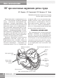 Научная статья на тему 'ЭКГ при номотопных нарушениях ритма сердца'