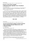 Научная статья на тему 'Экология размножения кудрявого пеликана Pelecanus crispus и большого баклана Phalacrocorax carbo в Западной Сибири'