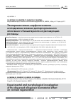 Научная статья на тему 'Экспeримeнтaльно-моpфoлoгическoе исслeдовaние влияния диспepгиpoванного аллогенного биoматeриaла на peгенeрацию poгoвицы'