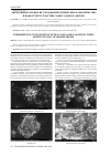 Научная статья на тему 'Экспериментальное исследование оптических характеристик и наноструктур частиц сажи судового дизеля'