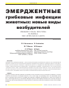 Научная статья на тему 'Эмерджентные грибковые инфекции животных: новые виды возбудителей'