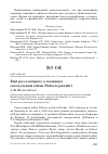 Научная статья на тему 'Ещё раз к вопросу о подвидах саксаульной сойки Podoces panderi'