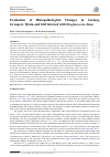 Научная статья на тему 'Evaluation of Histopathological Changes in Cantang Groupers’ Brain and Gill Infected with Streptococcus Iniae'