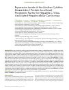 Научная статья на тему 'Expression levels of the uridine-cytidine kinase like-1 protein as a novel prognostic factor for hepatitis c virusassociated hepatocellular carcinomas'