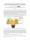 Научная статья на тему 'Femtosecond laser-induced periodic surface structuring of BaGa4Se7 crystal for near-infrared anti-reflection enhancement'