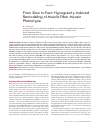 Научная статья на тему 'From slow to fast: Hypogravity-Induced remodeling of muscle fiber myosin phenotype'