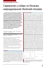 Научная статья на тему 'Гаммапатия у собаки из Испании, инфицированной Bartonella henselae'